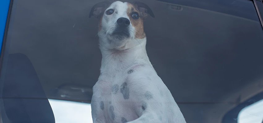 Car Lockout Solutions in Los Alamitos, California