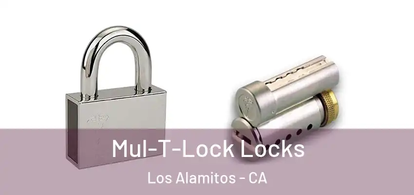  Mul-T-Lock Locks Los Alamitos - CA